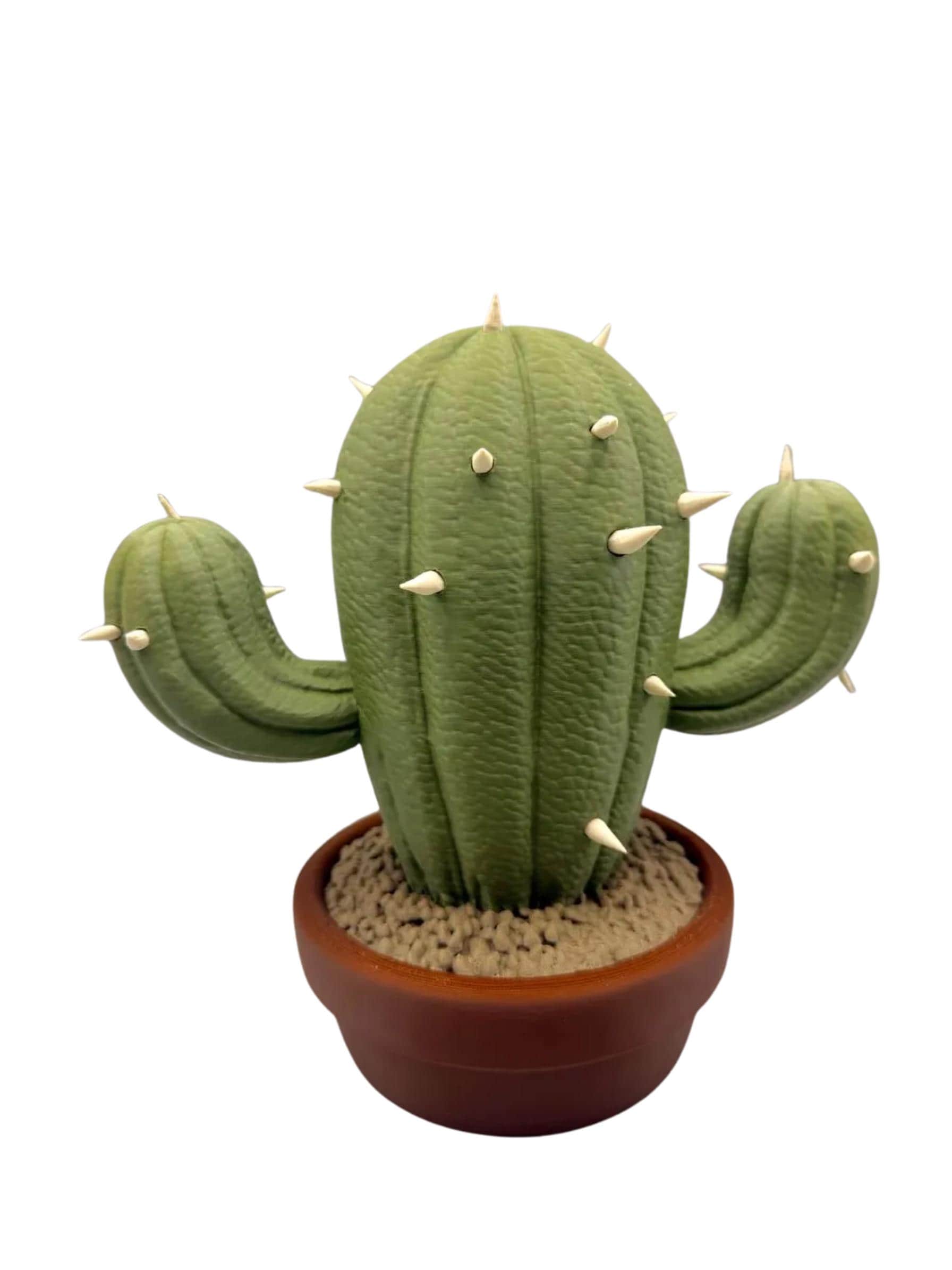 Grumpy Cactus Figurine Gift, Funny 3D Printed Plant Decor for Plant Lovers and Cranky Coworkers