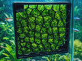 3D Printed PETG Aquarium Moss Wall, Honeycomb Holder for Aquascaping, Shrimp Nano Tank Background