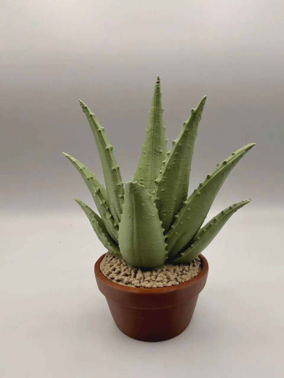 Grumpy Aloe Plant Figurine, Funny 3D Printed Succulent Desk Decor, Office Shelf Collectible