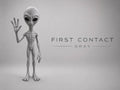 Gray Alien Figurine, 3D Printed Sci-Fi Desk Decor, Classic UFO Extraterrestrial Statue Collectible Gift