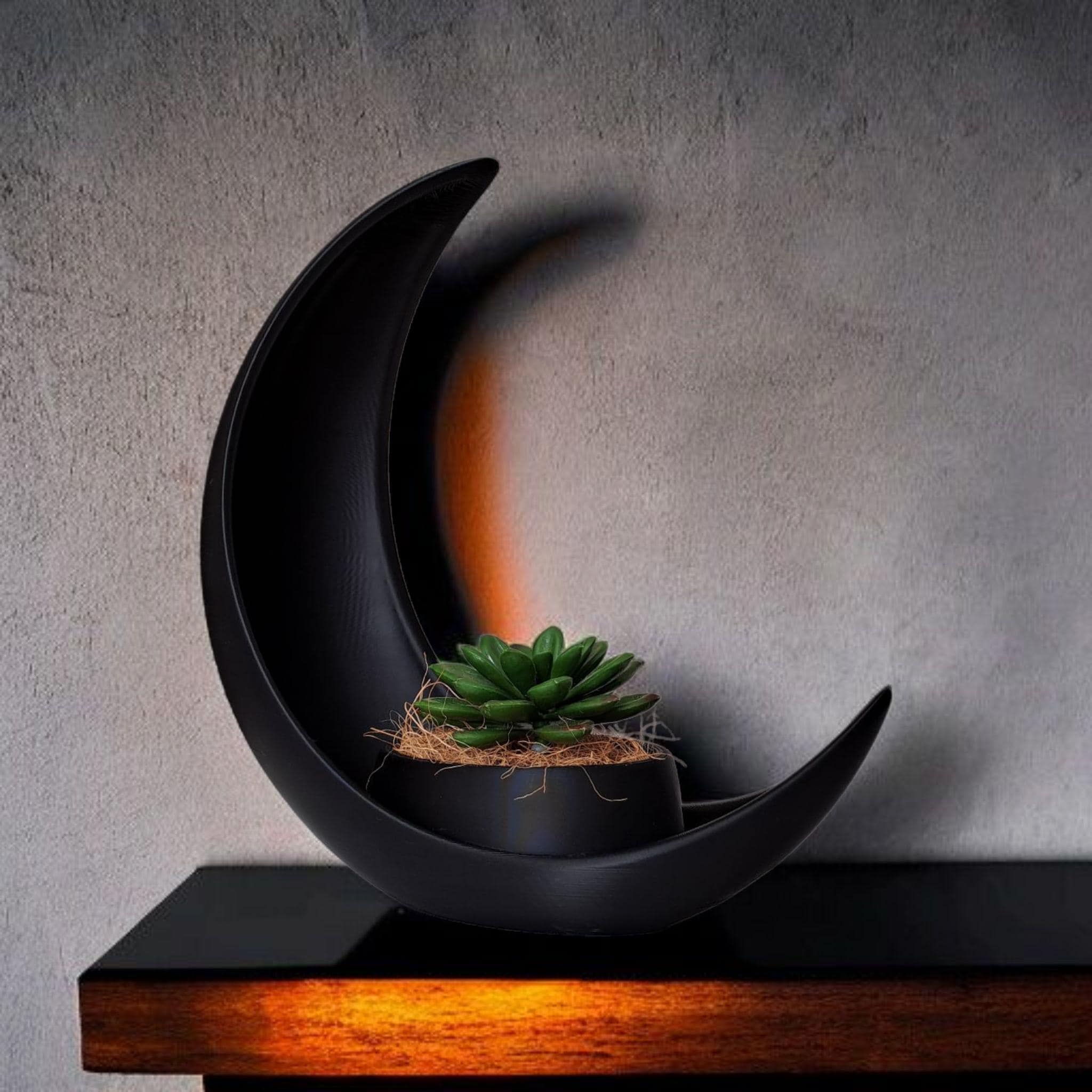 Crescent Moon Planter 3D Printed Succulent Pot Moon Plant Holder Boho Shelf Decor Minimalist Gothic Home Decoration by Deltaprints