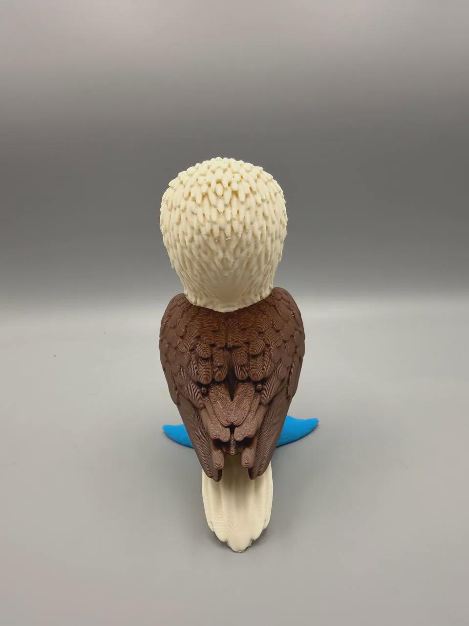 Grumpy Blue-Footed Booby Figurine, Judgy Seabird Who Is Extremely Tired of You Staring at His Feet
