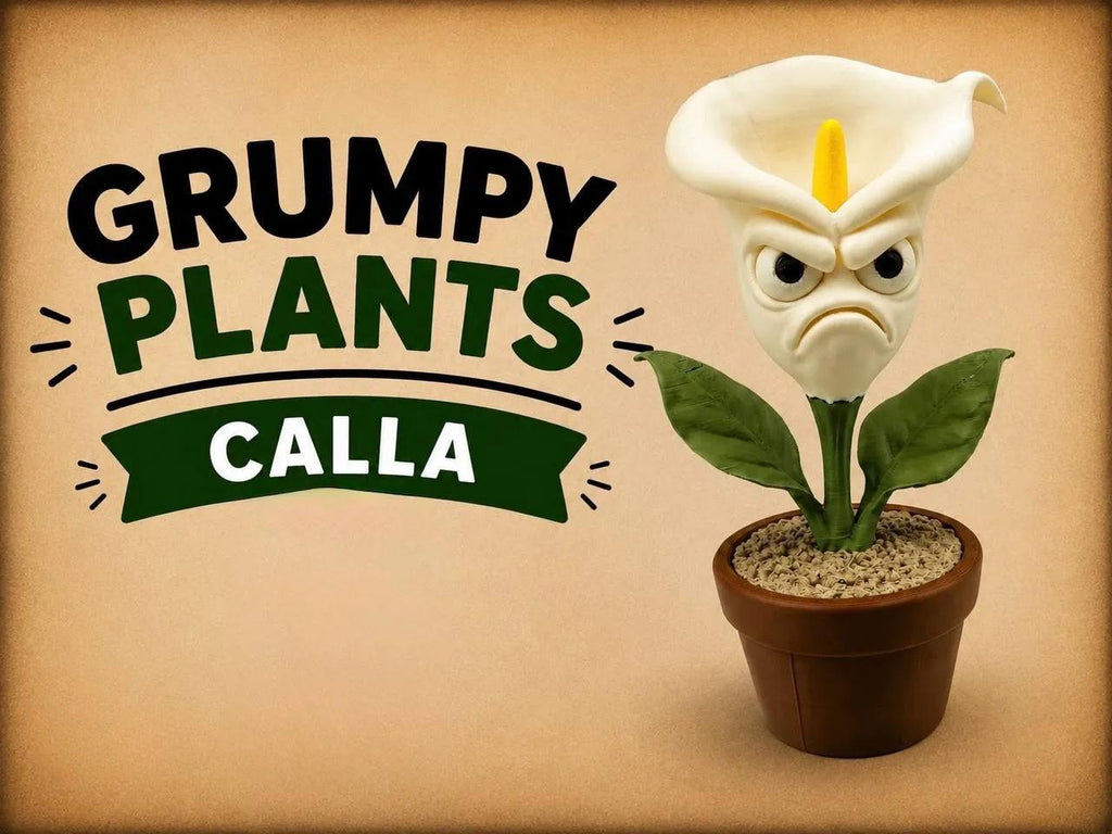 Grumpy Calla Lily Figurine, Funny 3D Printed Plant Desk Decor, No-Watering Grumpy Flower Collectible Gift