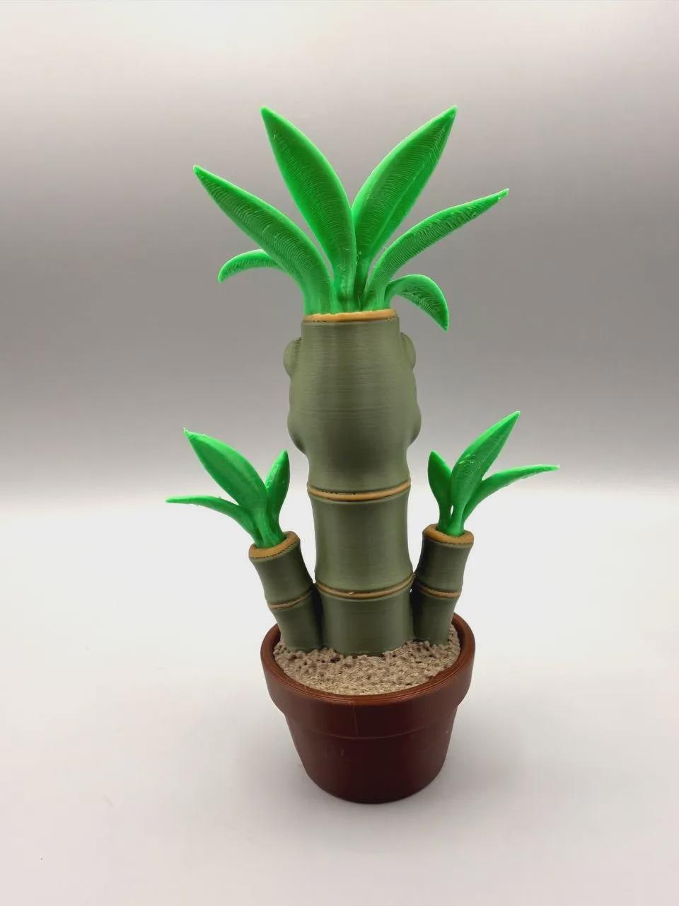 Grumpy Bamboo Figurine, Funny 3D Printed Plant Desk Decor, No-Water Lucky Bamboo Collectible Gift